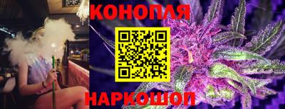 гашик Лесосибирск